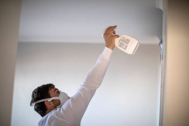 Best Attic Mold Removal  in Brownsville, FL